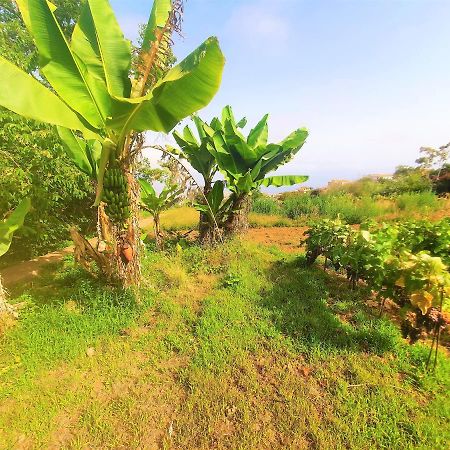 Casa En Finca Ecologica - Wifi La Orotava Eksteriør billede