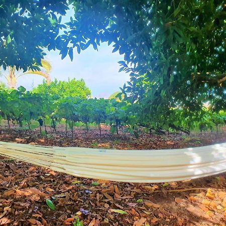 Casa En Finca Ecologica - Wifi La Orotava Eksteriør billede