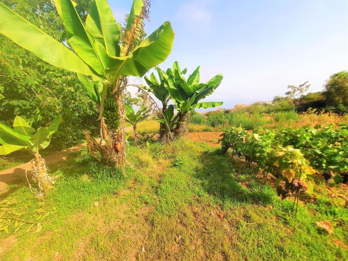 Casa En Finca Ecologica - Wifi La Orotava Eksteriør billede
