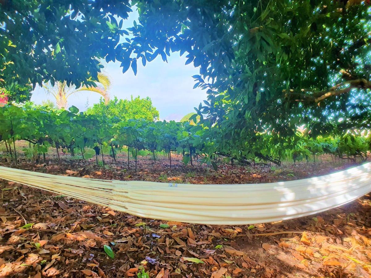 Casa En Finca Ecologica - Wifi La Orotava Eksteriør billede