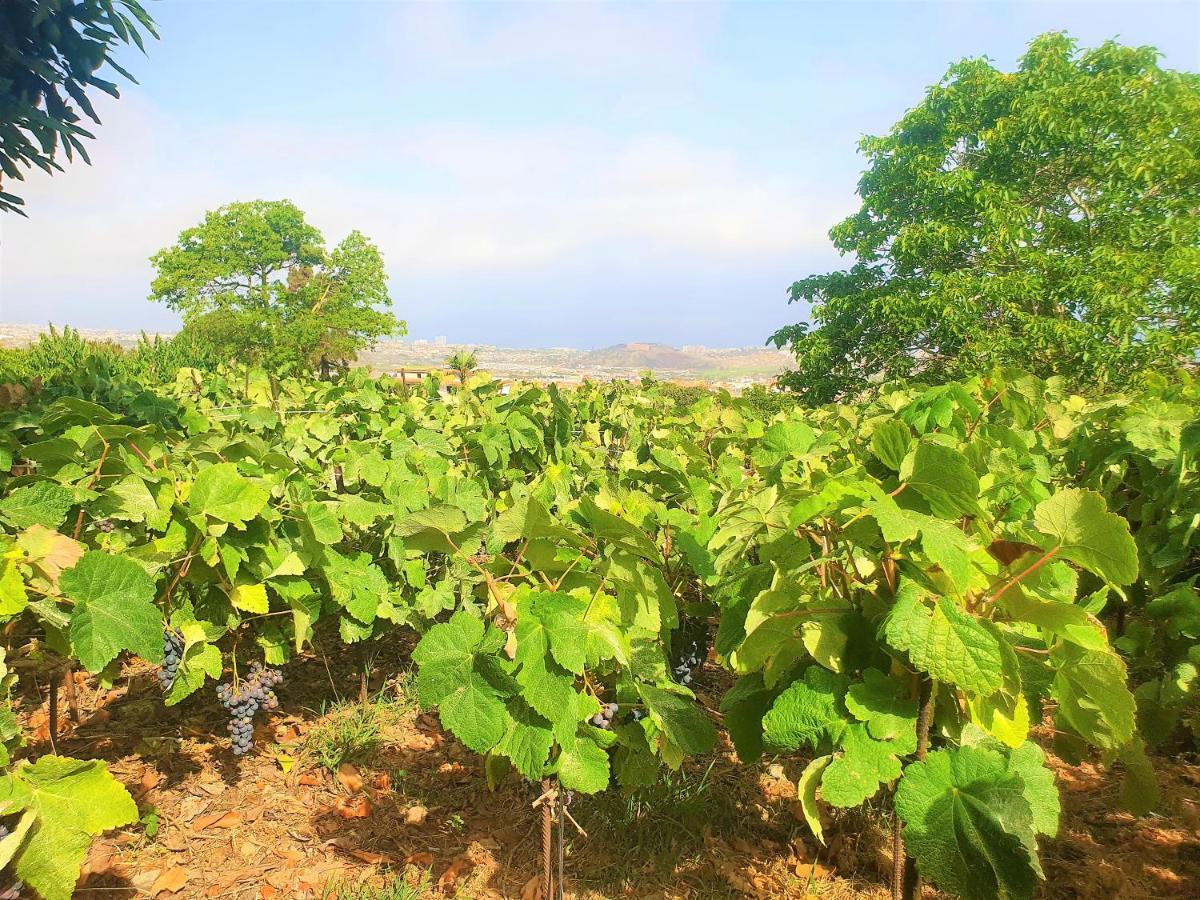 Casa En Finca Ecologica - Wifi La Orotava Eksteriør billede