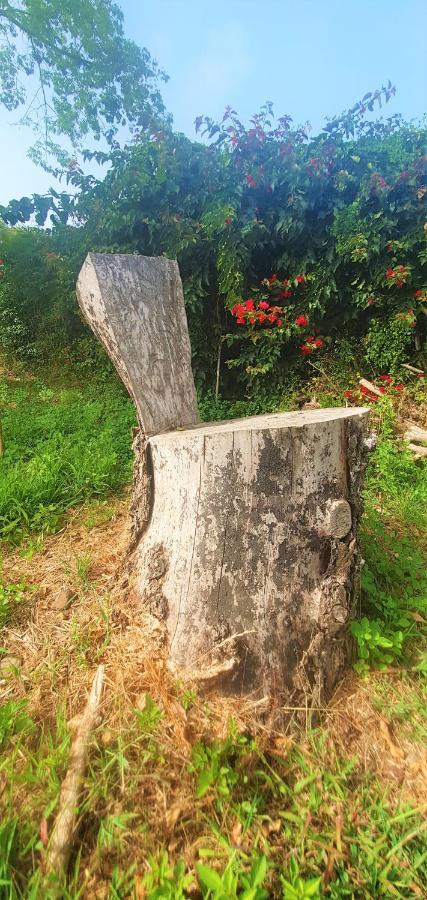 Casa En Finca Ecologica - Wifi La Orotava Eksteriør billede