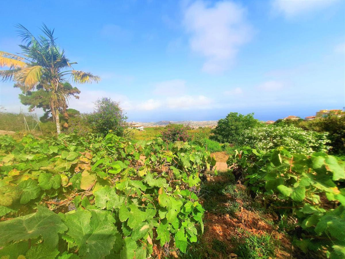 Casa En Finca Ecologica - Wifi La Orotava Eksteriør billede