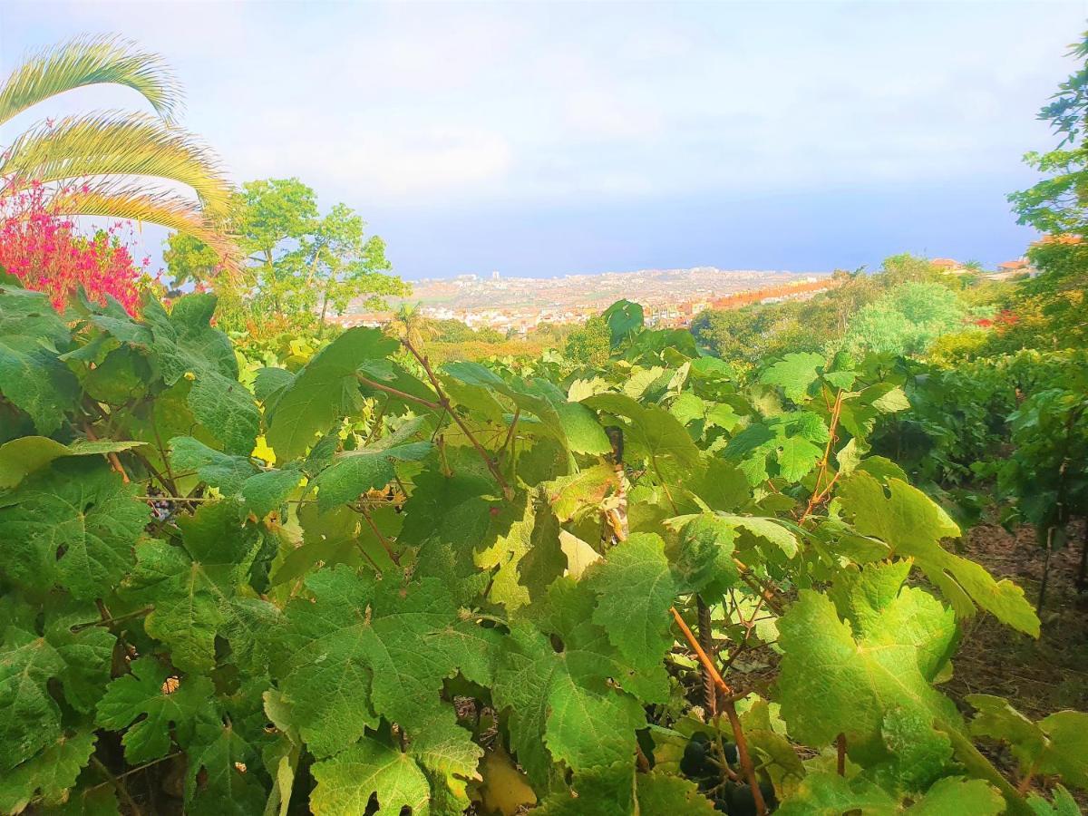 Casa En Finca Ecologica - Wifi La Orotava Eksteriør billede