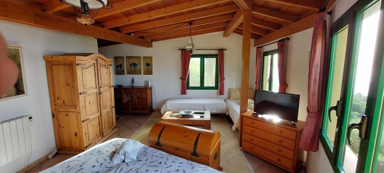 Casa En Finca Ecologica - Wifi La Orotava Eksteriør billede