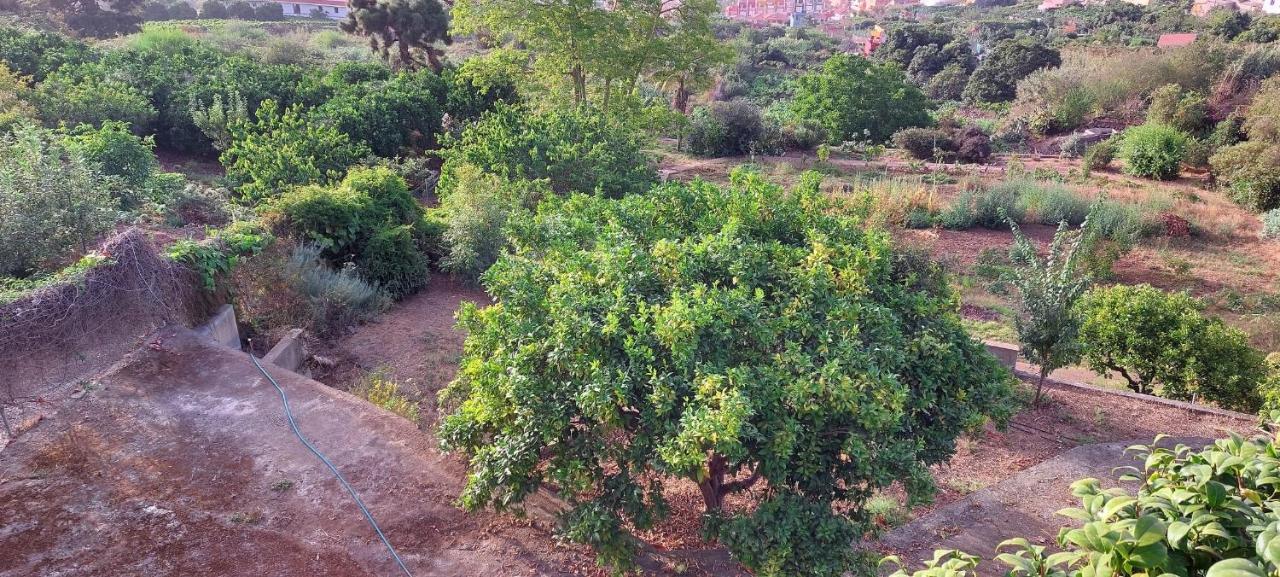 Casa En Finca Ecologica - Wifi La Orotava Eksteriør billede