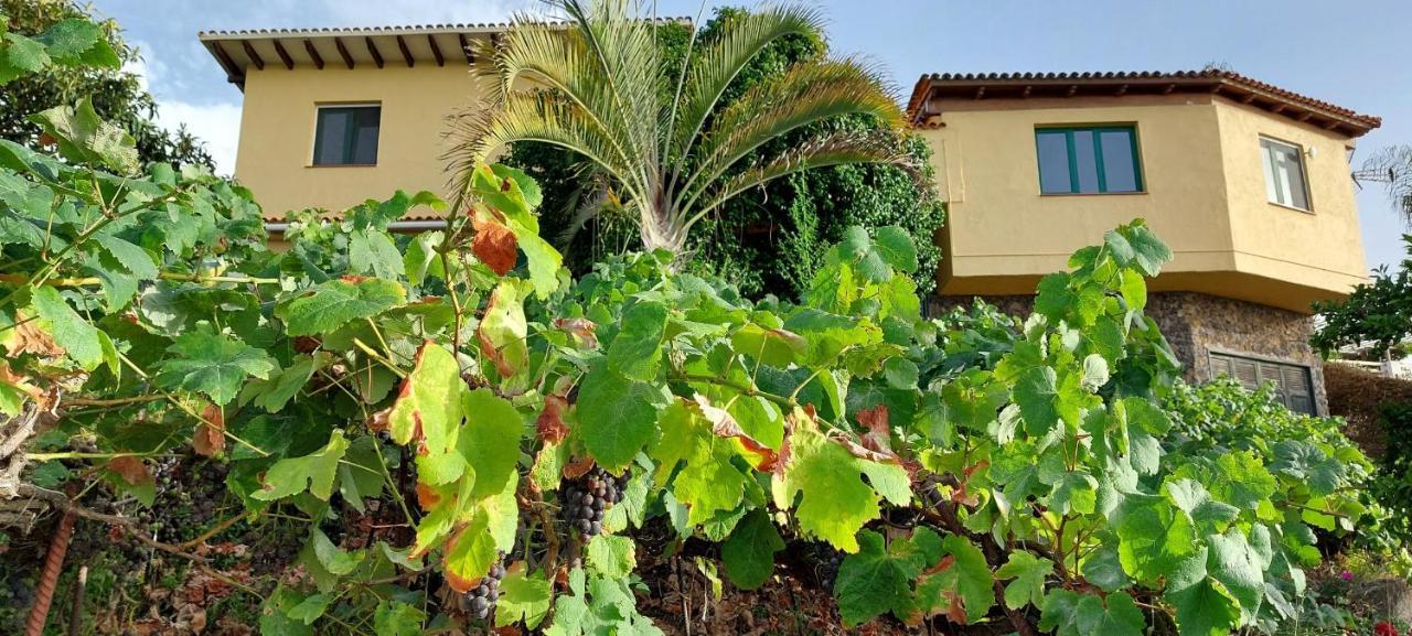 Casa En Finca Ecologica - Wifi La Orotava Eksteriør billede