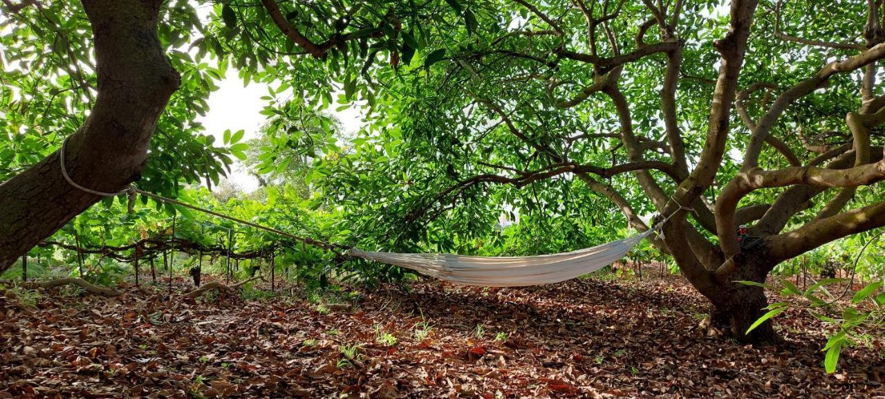 Casa En Finca Ecologica - Wifi La Orotava Eksteriør billede